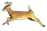 image17.jpg