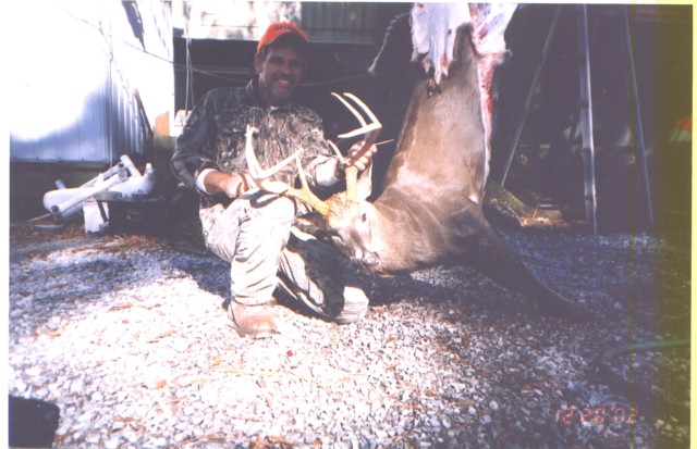 deer3.jpg